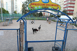 Площадки для собак обустроят по ГОСТу