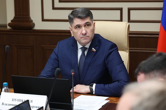 сенатор владимир пушкарёв