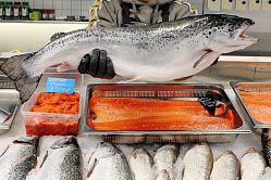 В СФ объяснили, почему пока нет смысла ставить цель по повышению потребления рыбы россиянами 