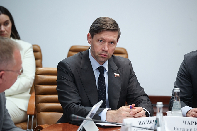 зампред Совета по развитию цифровой экономики при СФ, первый замглавы Комитета верхней палаты по конституционному законодательству и госстроительству Артём Шейкин
