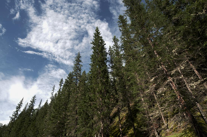 Фото: nature.baikal.ru