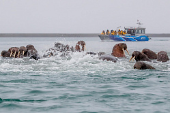 В российской Арктике предлагают ввести квоты для туристов 