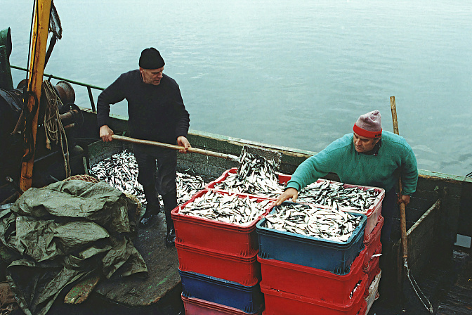 рыбаки улов рыба