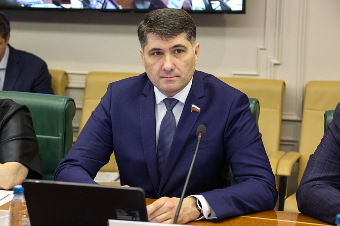 сенатор владимир пушкарёв