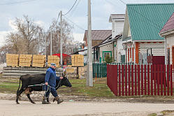 В СФ предложили выдавать 500 тыс. рублей за переезд на село