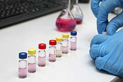 Почти 30% россиян одобрили применение биотехнологий в пищевой промышленности