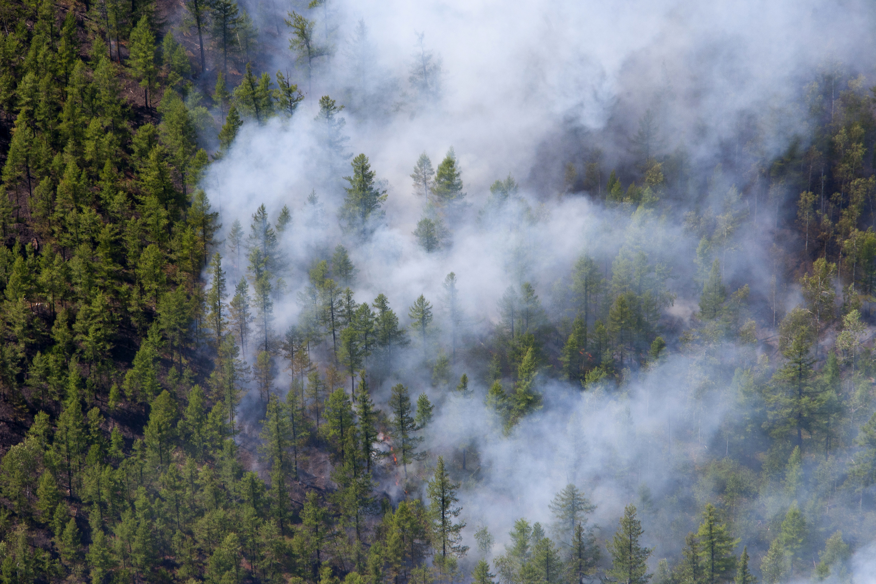 Загрязнение воздуха пожары. Лесные пожары. Лесной пожар вид сверху. Дым в лесу. Дым от лесных пожаров.