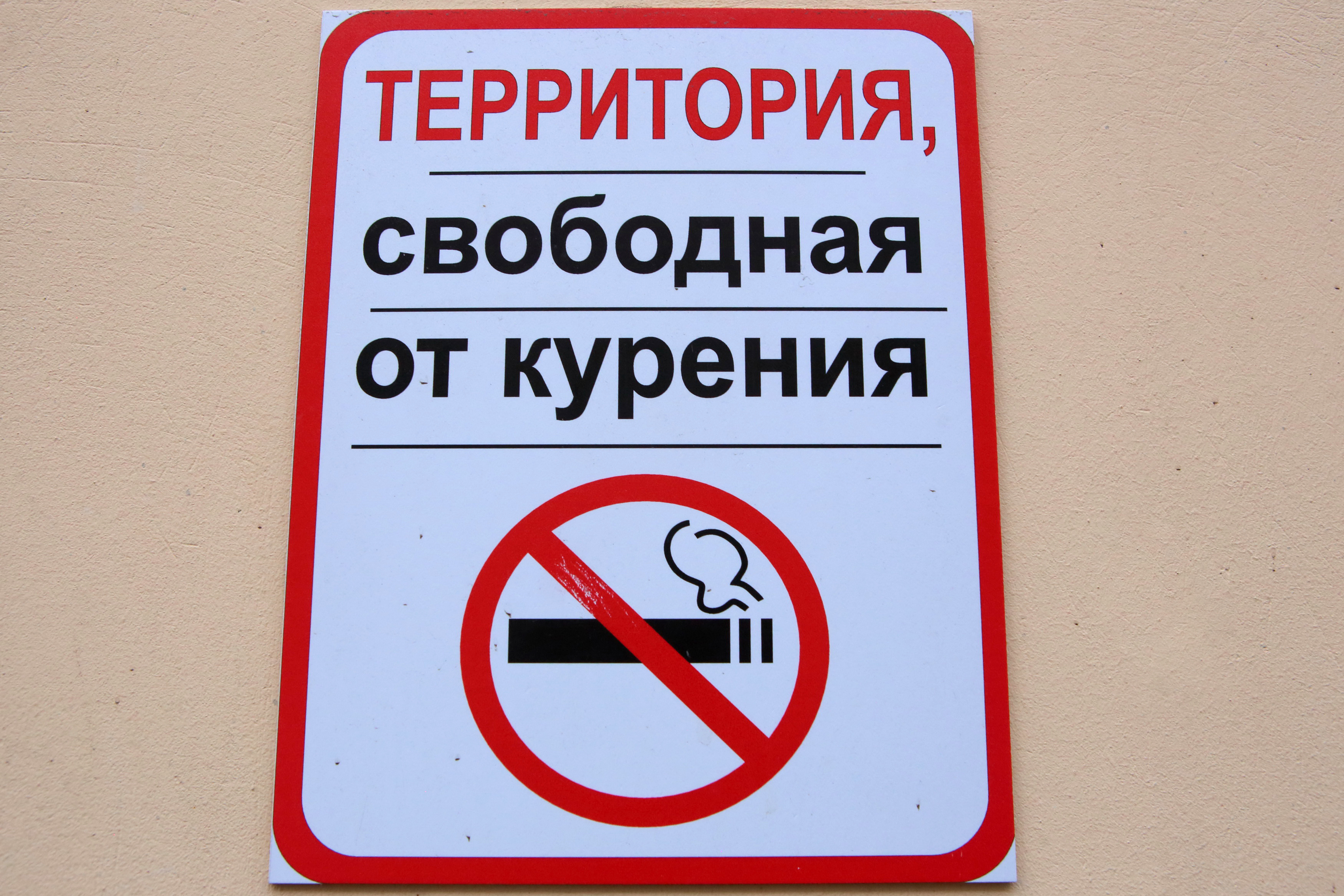 https://senatinform.ru/upload/sprint.editor/444/9eekirdst8ot9ps6xg1se5xly117qvjg.jpg