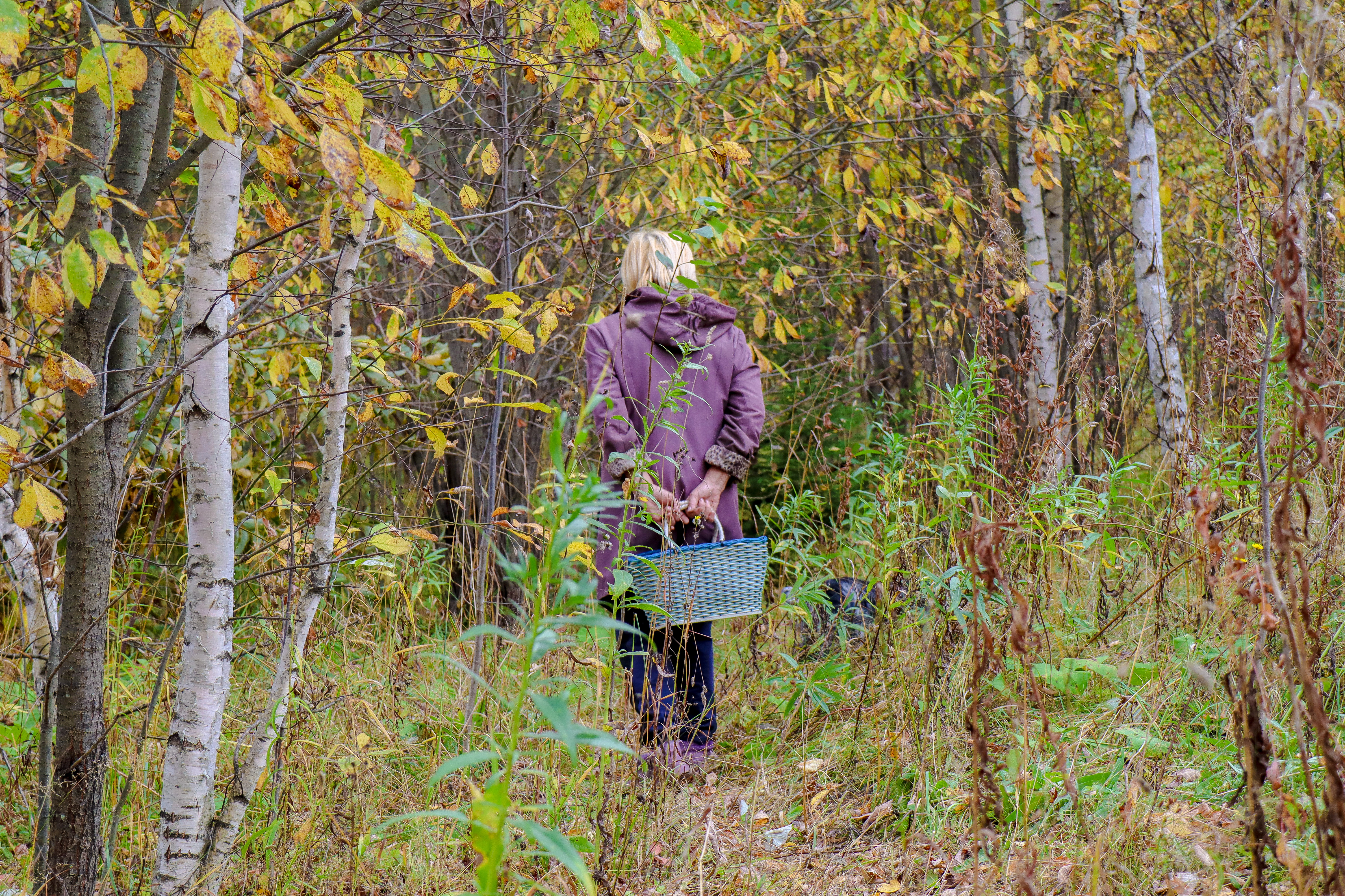 Как одеться за грибами и что взять с собой в лес - советы специалиста | luchistii-sudak.ru