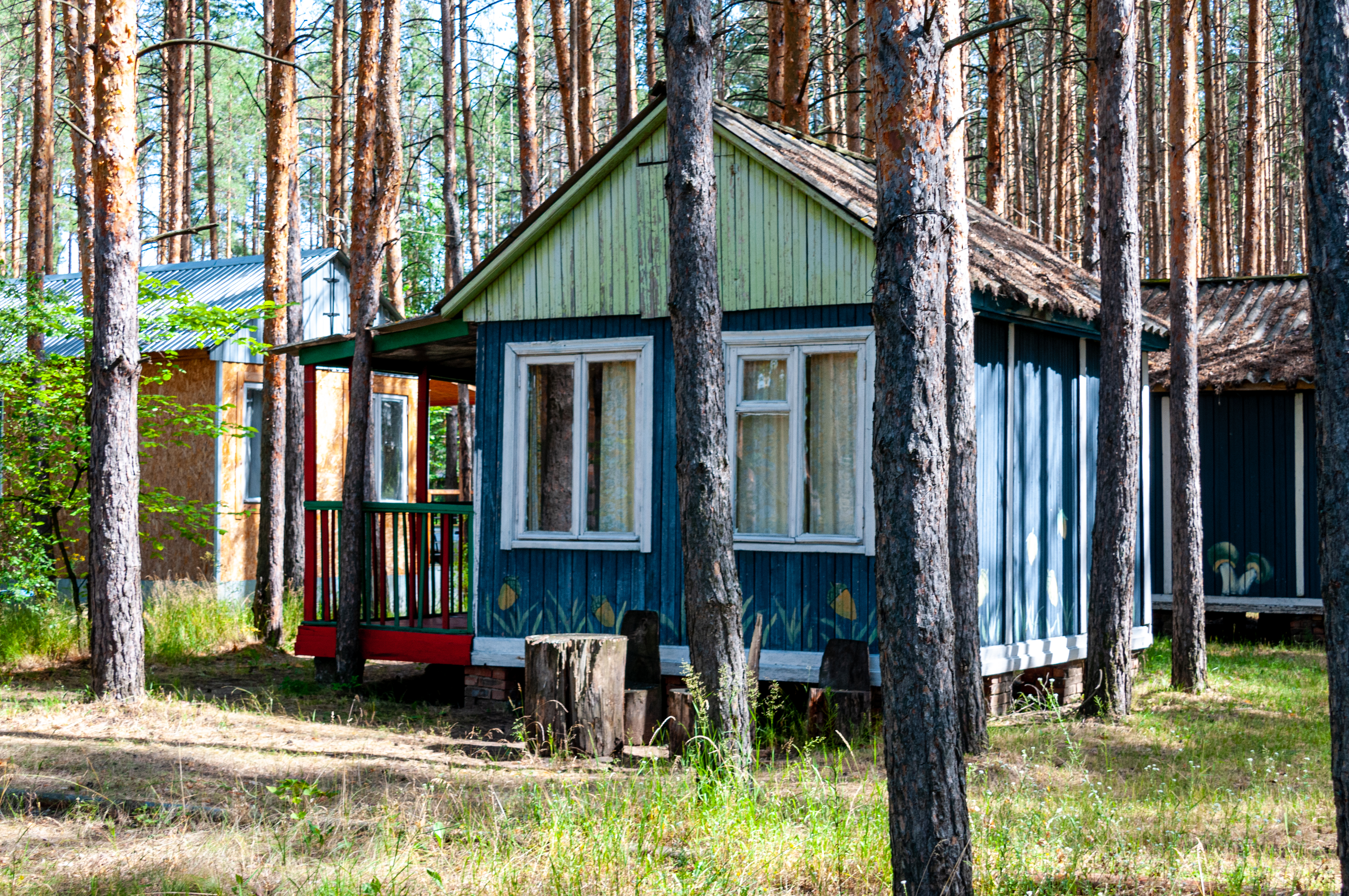 https://senatinform.ru/upload/sprint.editor/908/rqgirrjxlek0c07bt6e6yryhme4qbmb0.jpg