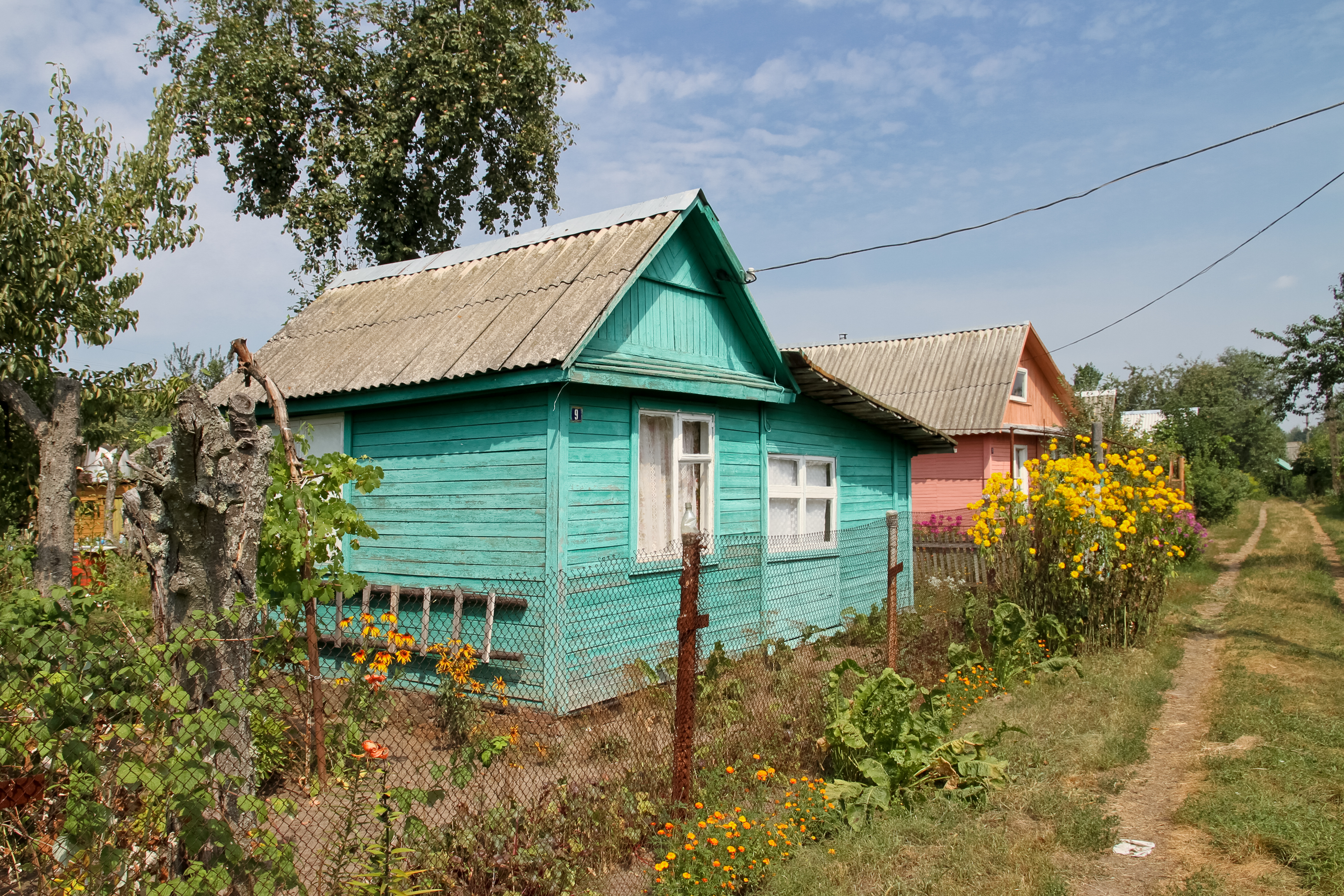 Возьму частный. Дачи россиян. Заброшенная дача. Кормиловка заброшенные дачи. Заброшенные дачи Пензы.