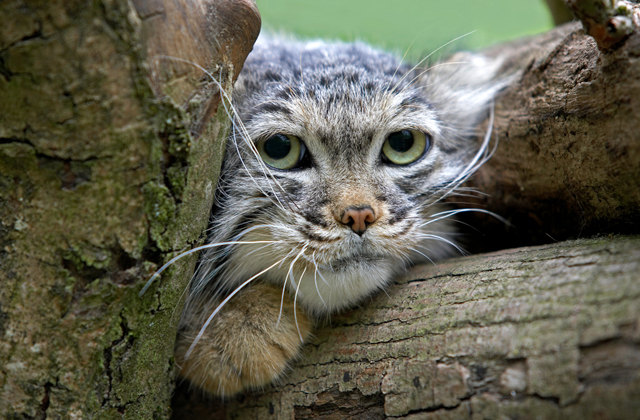фото: yandex.ru