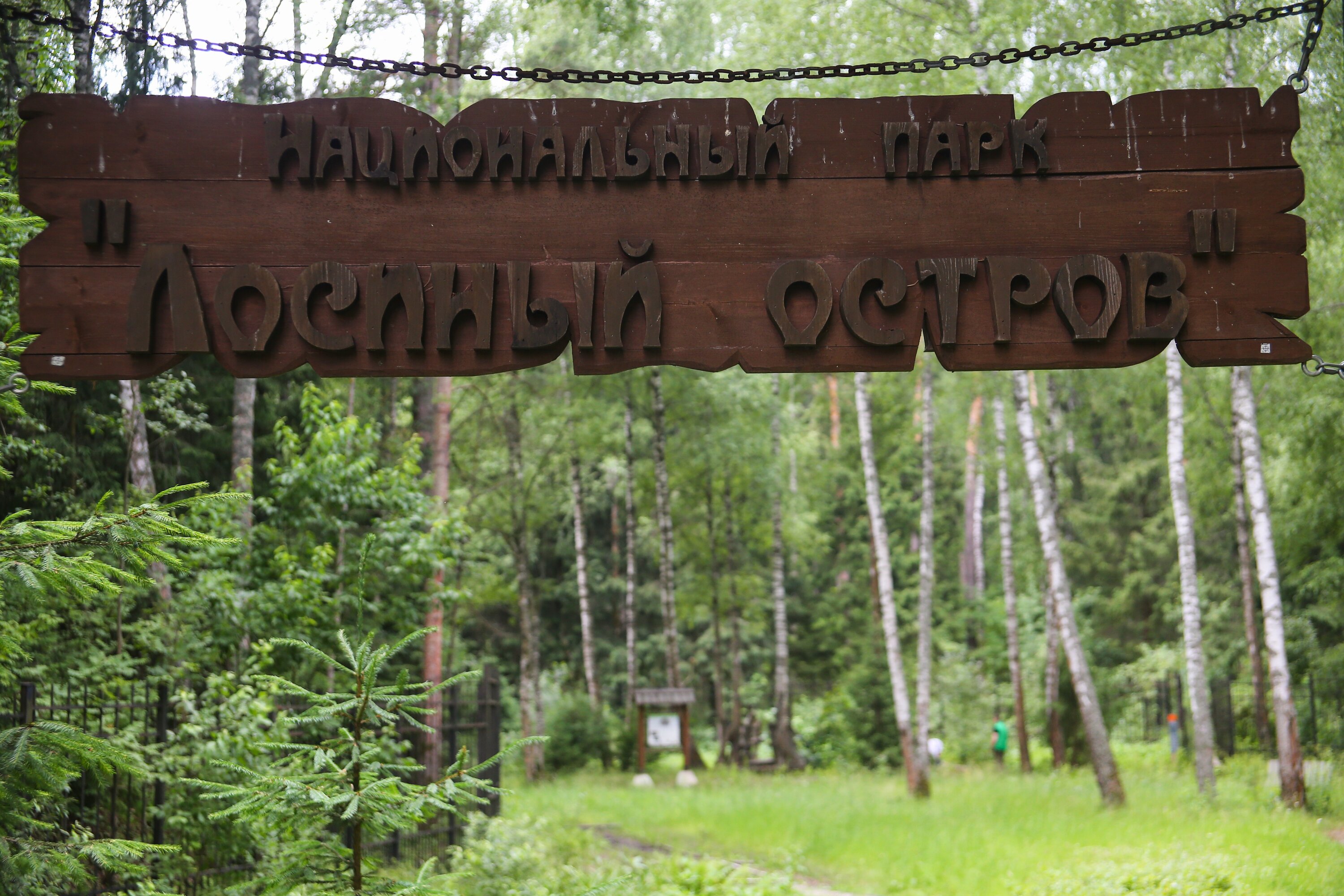 Лосиный парк босоногая тропа. Парк Лосиный остров Босоногая тропа. Экотропа Лосиный остров. Тропа Дендрарий Лосиный остров. Экотропа Лосиный остров Босоногая тропа.