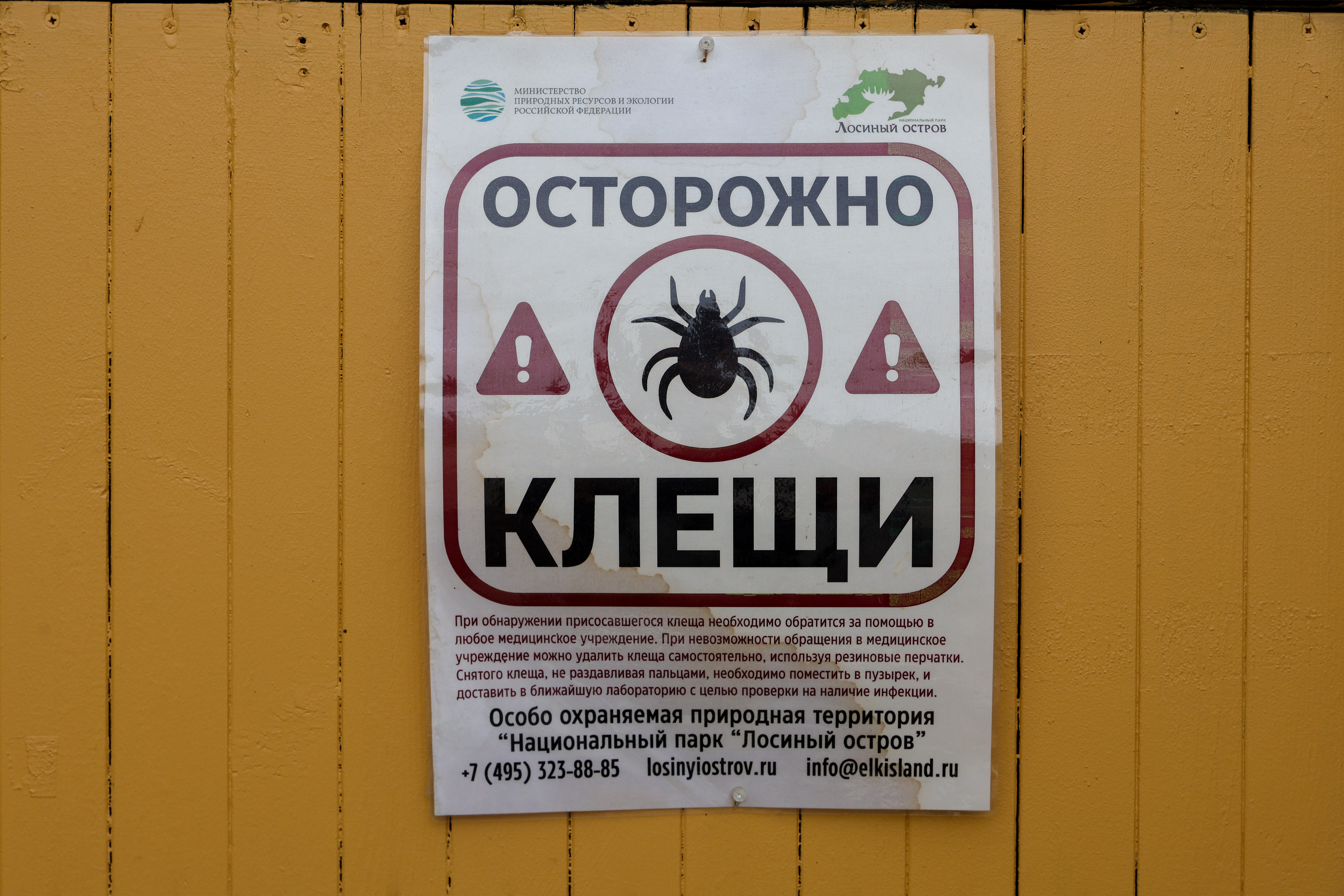 https://senatinform.ru/upload/sprint.editor/e9b/xna9zru6th8x088qrp52vf8edjxunekc.jpg