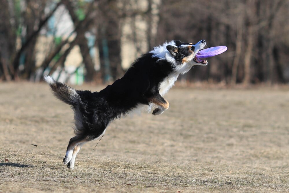 https://senatinform.ru/upload/sprint.editor/eb2/jou9vtpbuzidqrdwf2mbdo9qfro4qcv5.jpg