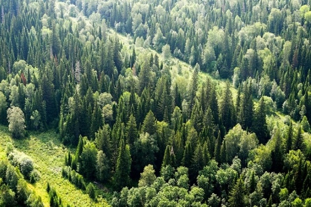 фото: apksmgu.ru